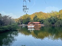 -深圳野生动物园