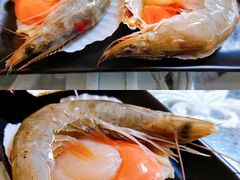 -丽江庭院之丽江往事(安定门店)