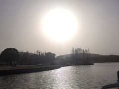 -上海月湖雕塑公园