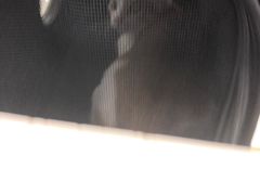 -瑞鹏宠物医院·宠保定点·心脏科·内科(御桥分院)
