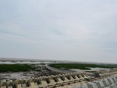 -南汇嘴观海公园