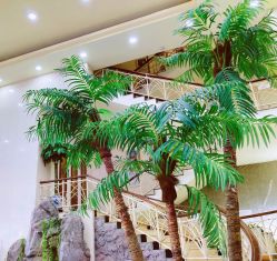 点击看大图 -五洲妇儿医院