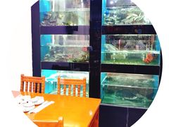 -全乐鱼馆·淳牌有机鱼直营店