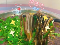 -临江后街鳝丝(临江店)