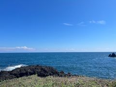 -涉地可支