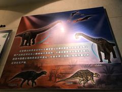 景点-甘肃地质博物馆