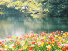 -森林公园(尖草坪区)