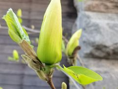 -天津东丽湖风景区