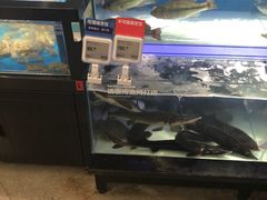 -盒马鲜生(岭南新世界店)