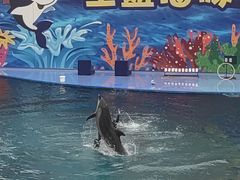 -北戴河圣蓝海洋公园