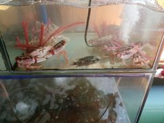 -蓝湾碧波·老字号·疍家非遗海上餐厅