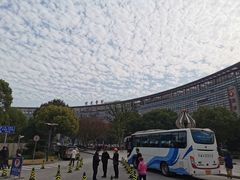 -上海中医药大学附属曙光医院(东部)