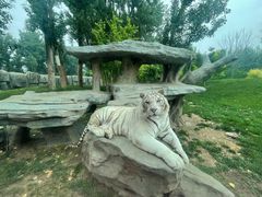 -北京野生动物园