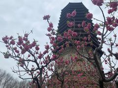 -玲珑塔公园