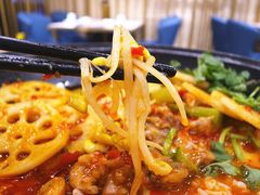 黄豆芽-蜀腾川·火锅鱼.烤鱼(新世界城店)