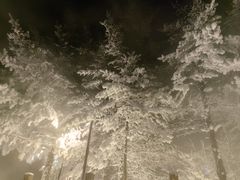 -长白山万达喜来登度假酒店