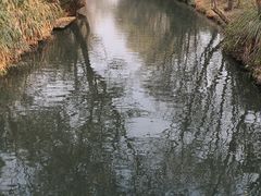 -摇橹船上船码头