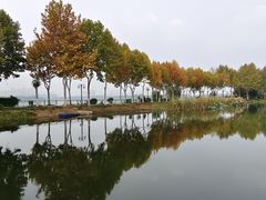 -金银湖国家城市湿地公园