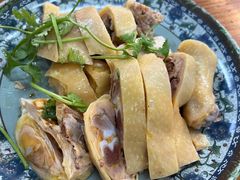 -九斤黄三黄鸡专卖店