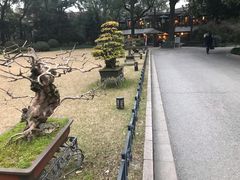 -申粤轩酒楼·三十年粤菜经典(丁香花园店)