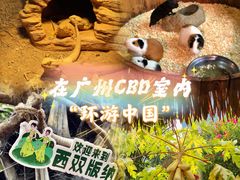 -正佳雨林生态植物园