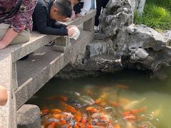 -檀园
