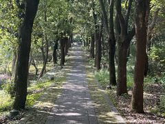 -虞山风景区