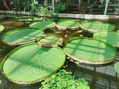 -国家植物园南园