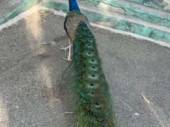 -昆明动物园