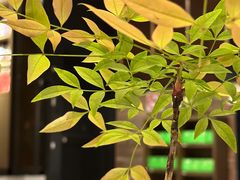 -光海书局(南京东路第一百货店)