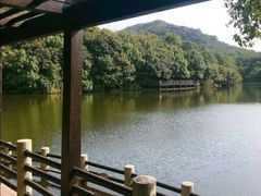 -白马涧龙池景区