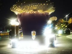 -碧云国际社区·晓园