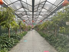 -南宫五洲植物乐园
