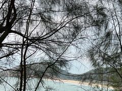 -广东惠东海龟国家级自然保护区