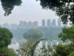 -重庆彩云湖湿地公园