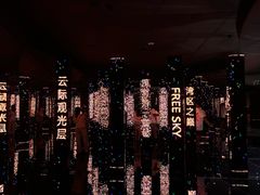-平安金融中心云际观光层