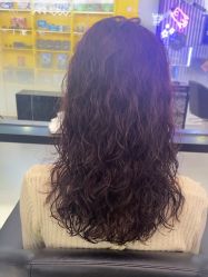 -东方麒麟·潘多拉SALON