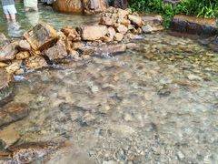 -佛山市三水区大南山森林公园