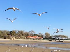 -老虎石海上公园