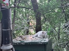 -狼山风景名胜区