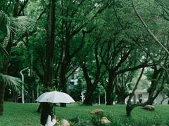 -人民公园(罗湖区)