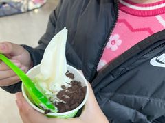 -Salud撒露欧洲冻酸奶(北苑上品店)