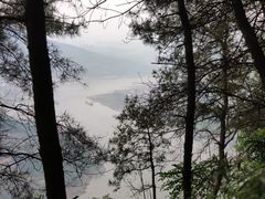 -铁山坪森林公园