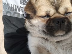 -新华百货CC Park购物广场