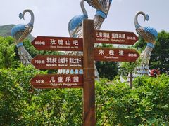 -密云玫瑰情园