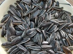 瓜子-金三可市井水煮鱼(金碧园店)