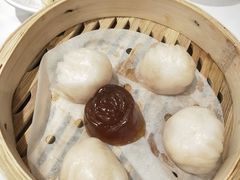 虾饺-稻香酒家·35年老字号(侨光店)