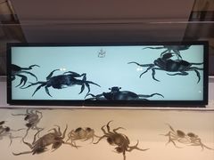 -上海电信博物馆