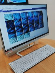 -雍禾植发全国连锁