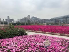 -泉城广场